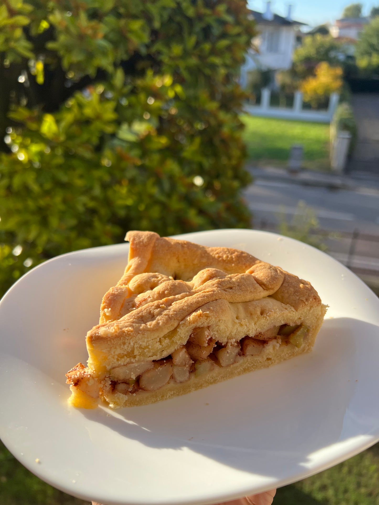Ricetta Torta di mele + menù pranzo e cena.